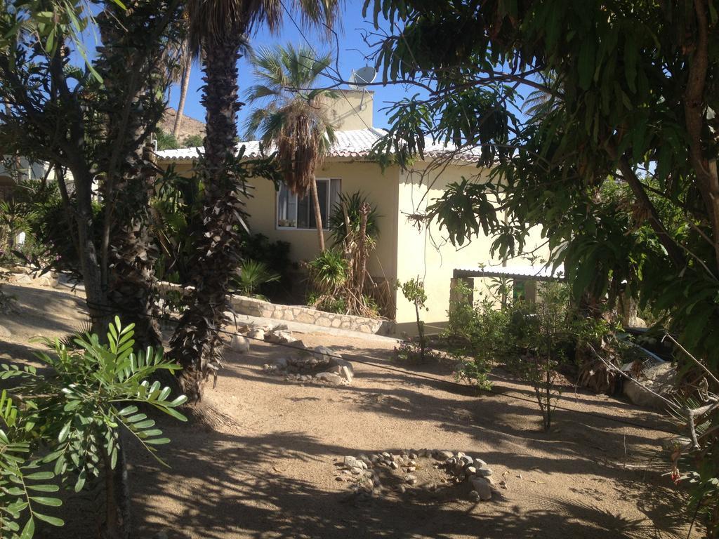 Surfer'S Paradise, Yoga&Food Garden@Costa Azul, Los Cabos San José del Cabo Kültér fotó